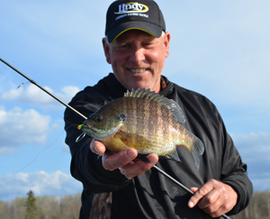 image of Jeff Sundin with big Bluegill