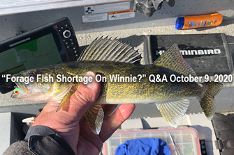 image links to Winnie Walleye Report