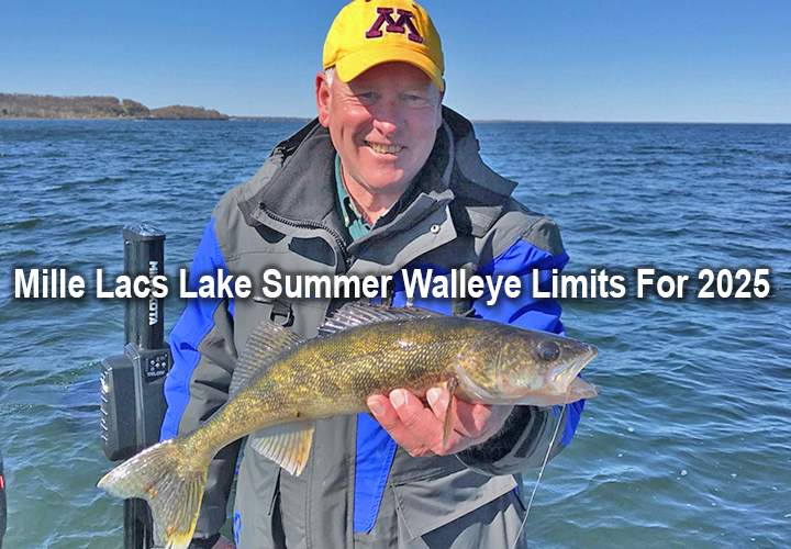 image links to article about walleye regulations on Mille Lacs Lake for 2025