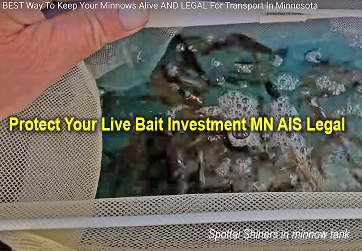 image links to article about legally transporting live bait in minnesota