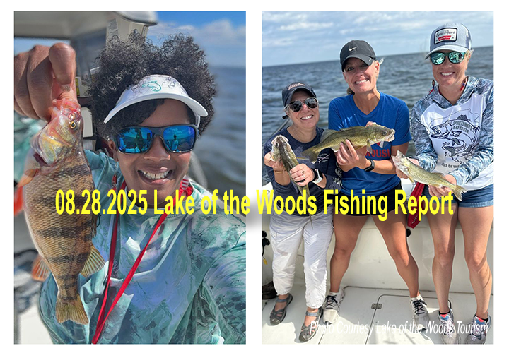 image links to fishing repoprt from the Lake of ther Woods Toursim Association