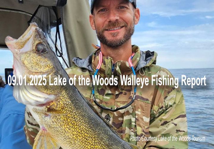 image links to walleye fishing report from Lake of the Woods 