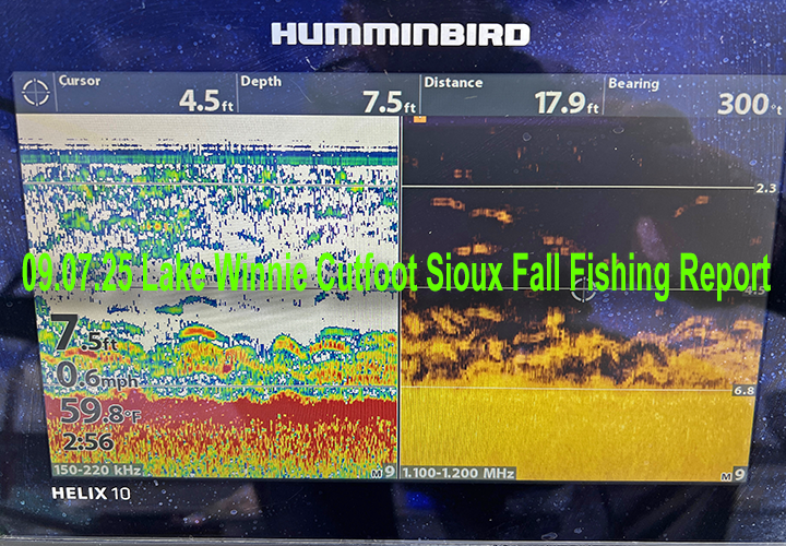 image links to fishing report by Bowen Lodge from Cutfoot Sioux and Lake Winnie