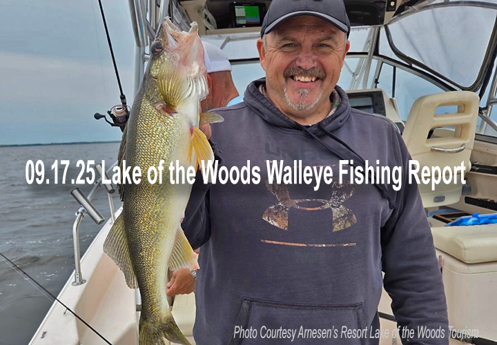 image links to fishing report from Lake of the Woods