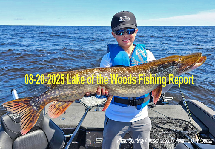 image links to fishing reporet from Lake of the Woods