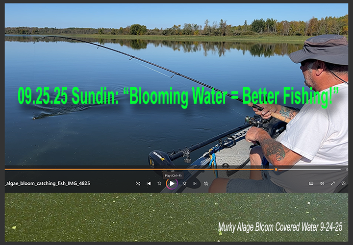 image links to fishing report by Jeff Sundin about fishing algae bloom water