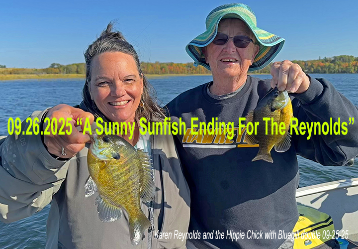 image links to fishing report by Jeff Sundin about catching bluegills and sunfish in Grand Rapids Minnesota