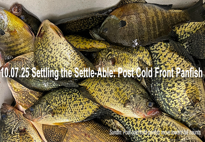 image links to fishing report by Jeff Sundin from the Deer River area