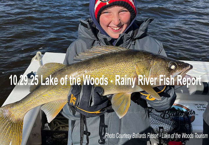 image links to fishing report from the Rainy River and Lake of the Woods