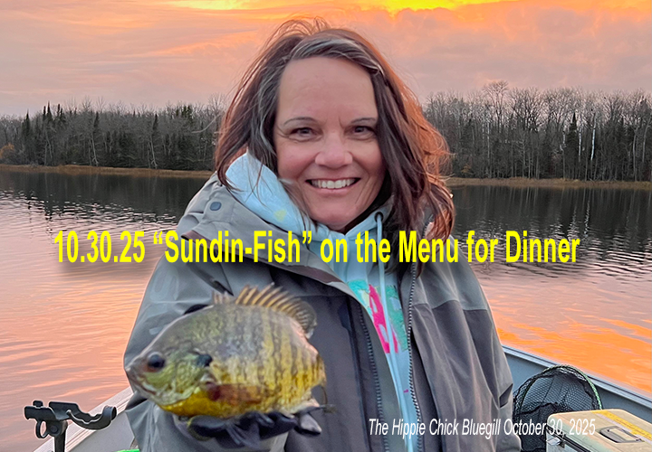 image links to article about catching bluegills during late fall by Jeff Sundin