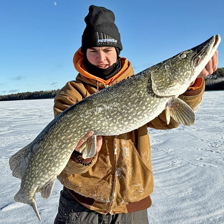 image of huge northern pike caught by an Ely Minnesota ice fisherman
