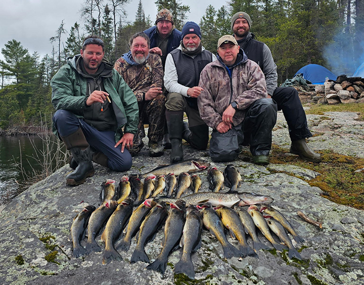 image of a group of anglers with large catch of walleyes and pike from the BWCA