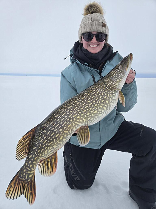 image of woman holding a giant northern pike she caught on Lake of the Woods 