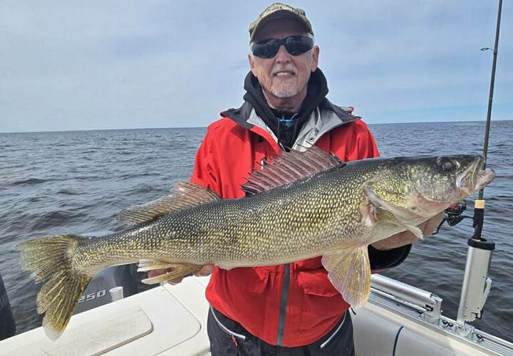 huge walleye caught on Lake of the Woods