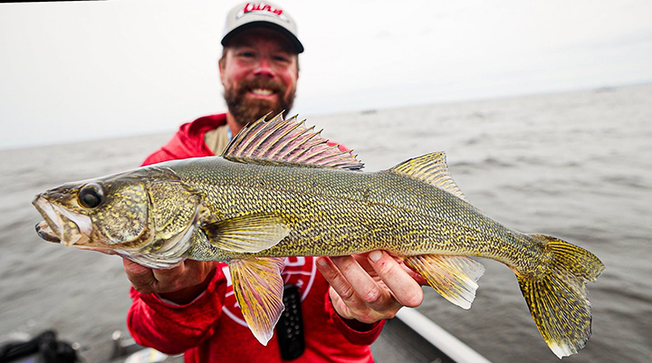image of Bret Amundson with large Lake of the Woods walleye