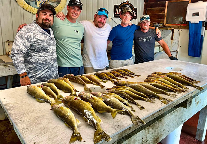 image of anglers with a stack of walleyes caught on lake of the woods