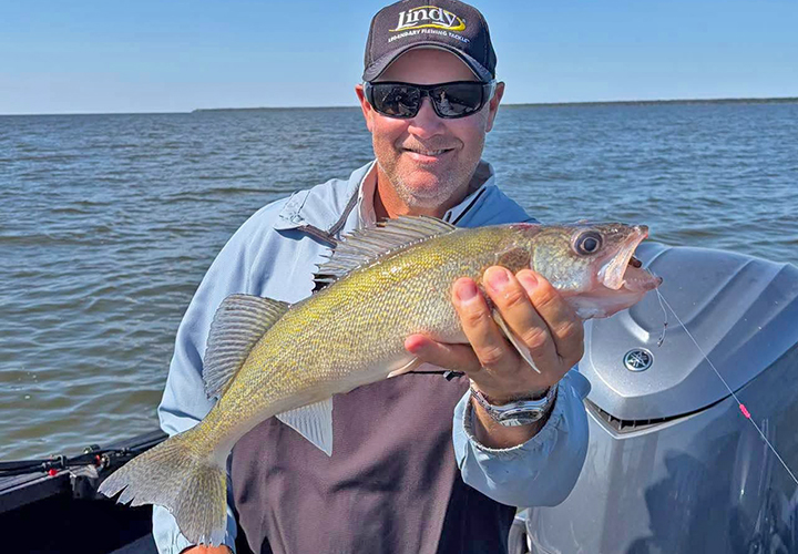image of jon thelen holding a nice lake of the woods walleye