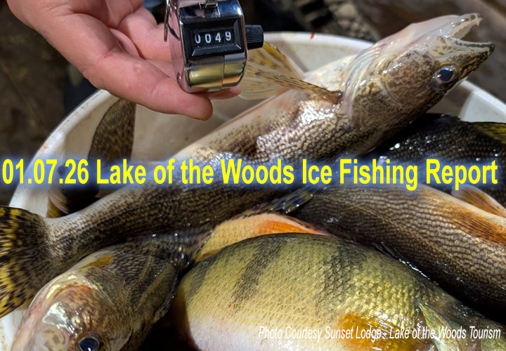 image links to ice fishing reports from Lake of the Woods Sunset Lodge and Arnesen's Rocky Point