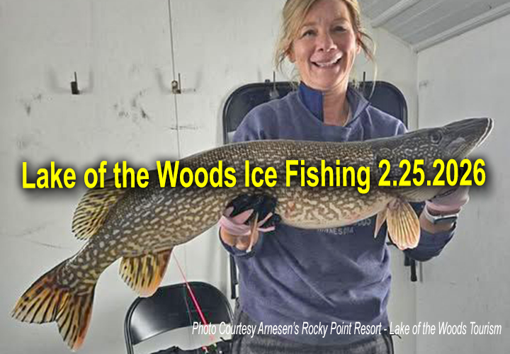 image links to ice fishing report from Lake of the Woods