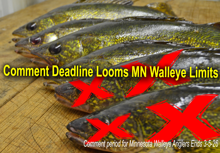 image links to Jeff Sundin article about the final deadline to comment about Minneota Walleye limits
