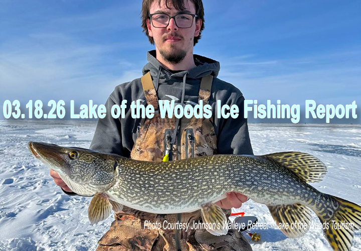 image links to ice fishing report from Lake of the Woods