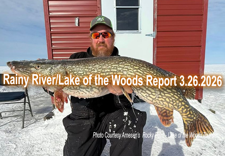 image links to ice fishing report from Lake of the Woods and the Rainy River