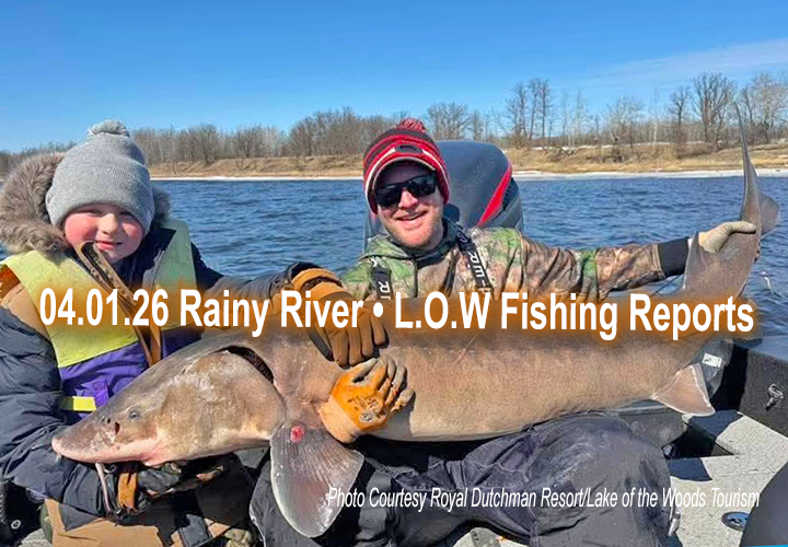 image of father son fishing team who caught huge sturgeon on the Rainy River
