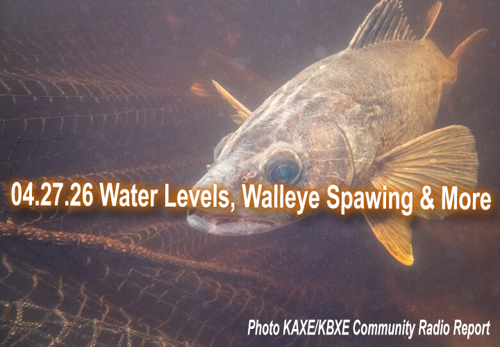 image links to fishing report about walleye spawning, water levels and season outlook from Grand Rapids