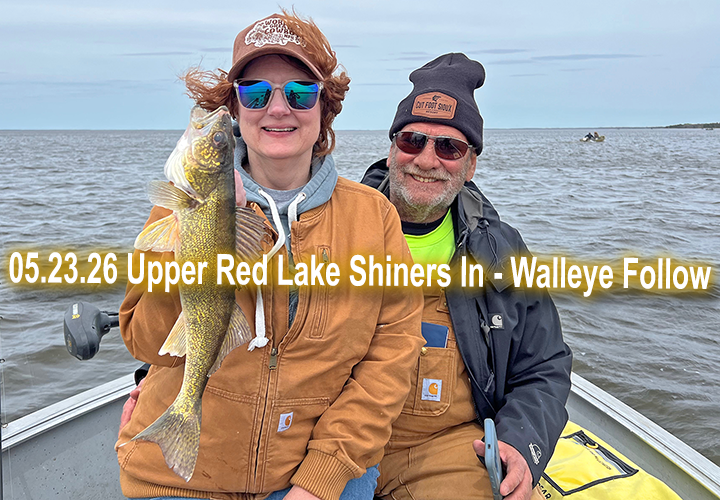 image links to walleye fishing report from Upper Red Lake 