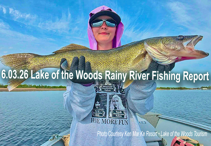 image links to fishing report from Lake of the Woods