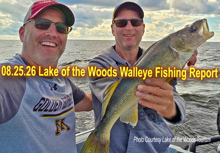 image links to walleye fishing report from the office of tourism at Lake of the Woods
