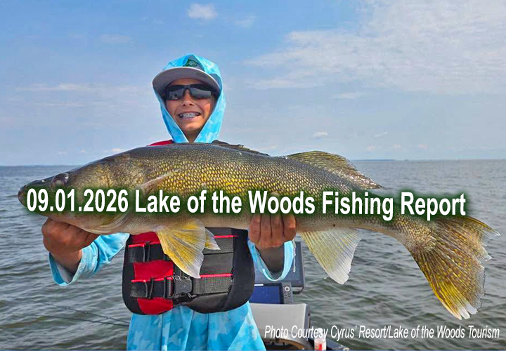 image links to fishing report from Lake of the Woods