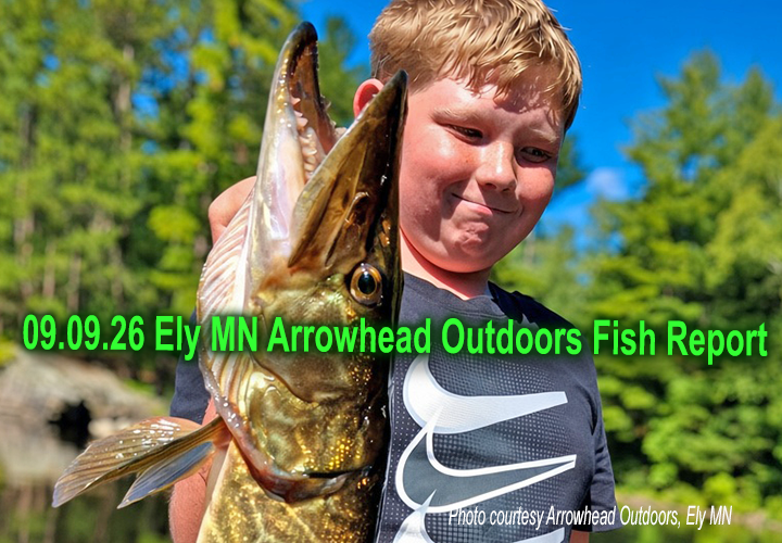 image of young angler holding a tiger musky caught near Ely Minnesota