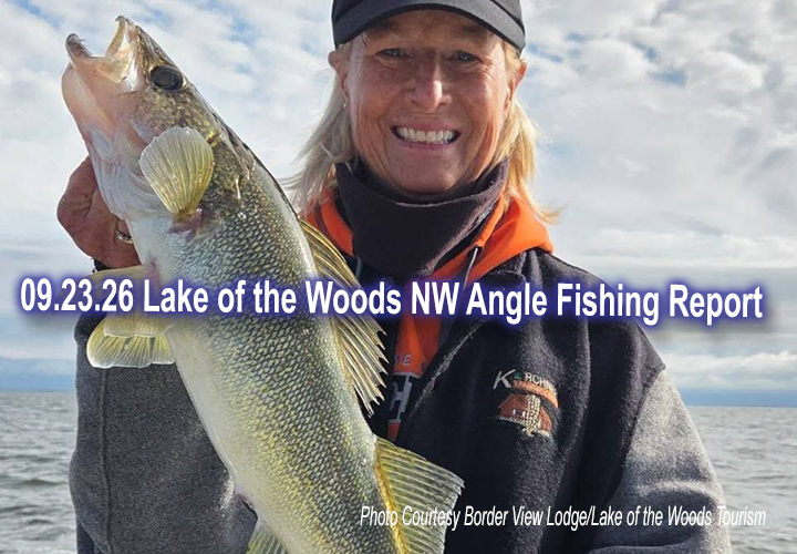 image links to lake of the woods fishing report