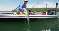 image links to fishing article about 2 lures that are great summer bass fishing
