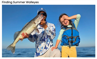 image links to fishing article about bass fishing lures for catching huge bass on the surface