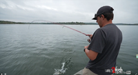image links to fishing video by Cody Huff about catching bass during the fall 